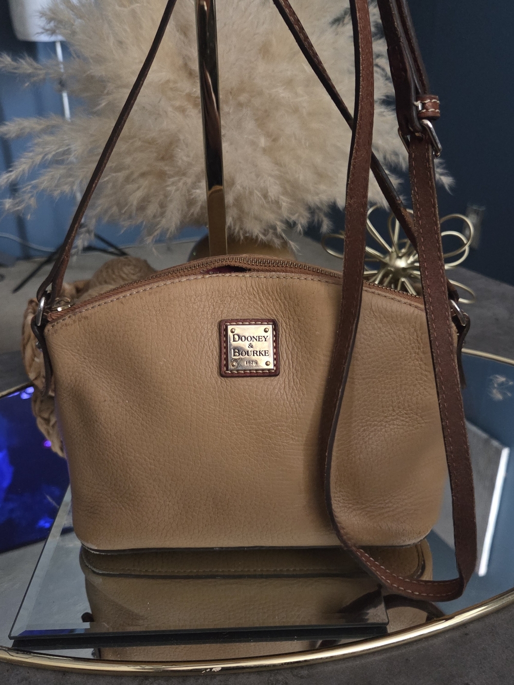 Dooney & Bourke Pebbled Leather Crossbody Project Bag Rehab Restoration DIY